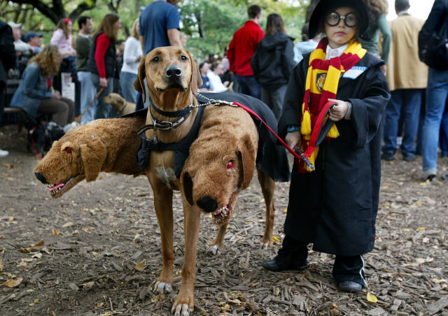 The 7 Most Adorable and Hilarious Dog Halloween Costumes You'll Ever See -  HelloGigglesHelloGiggles