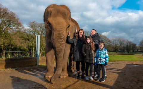 Woburn Safari Park - Credit: Josie Baughan/Josie Baughan