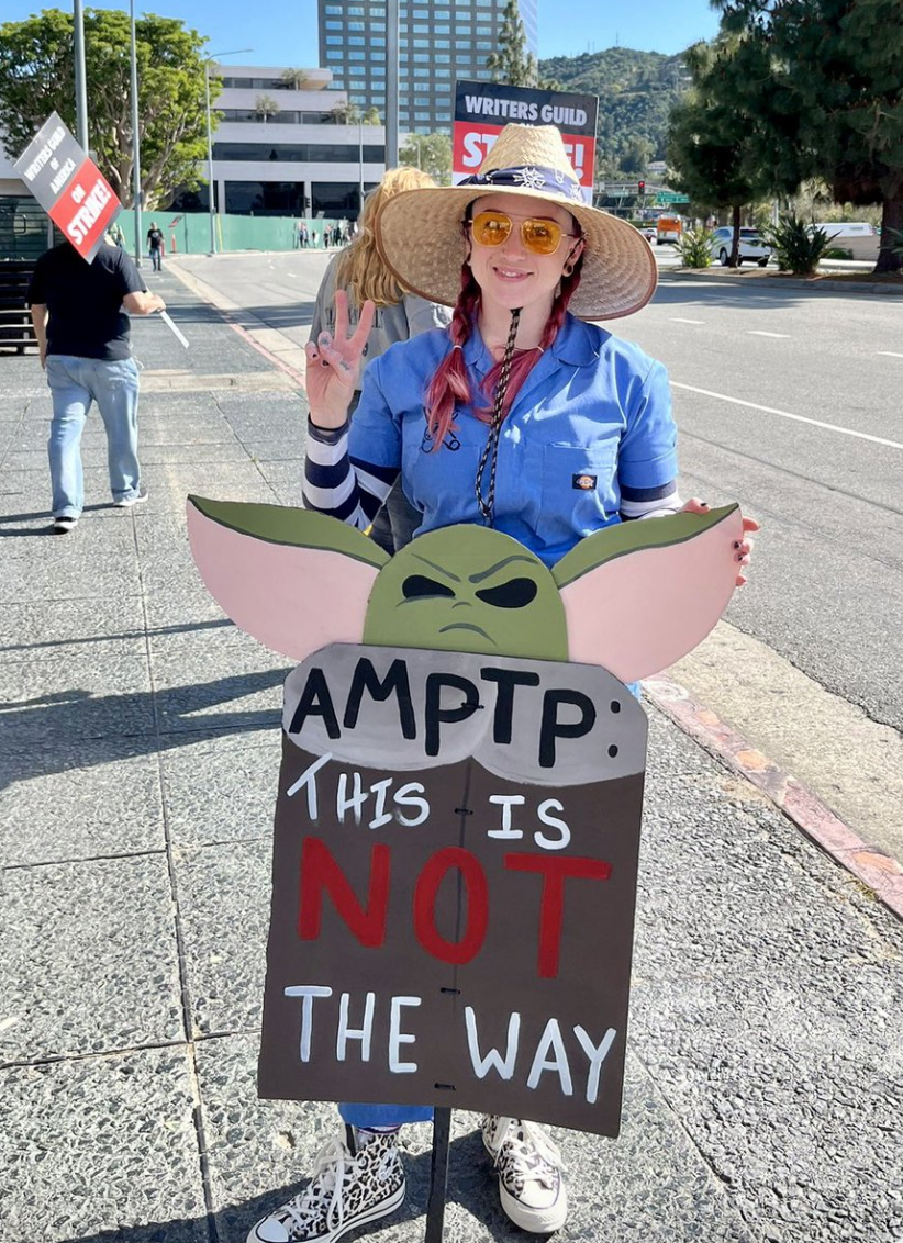 A person holds a sign that says "This is NOT the way" with Grogu frowning hard