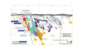 Longitudunal Section of Current Drill Program