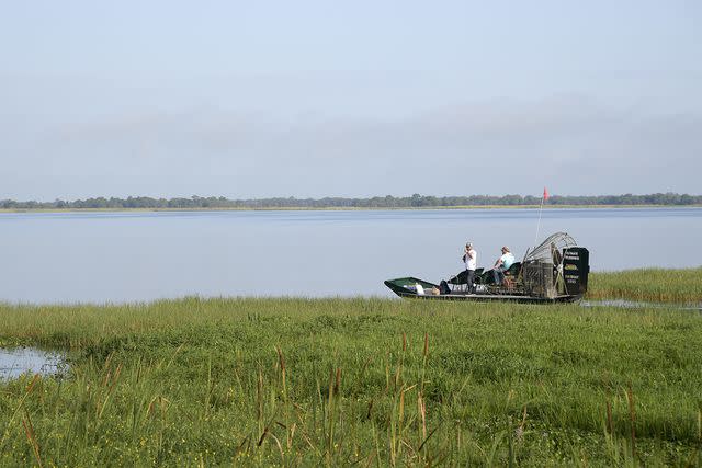 <p>Phelan M. Ebenhack via AP</p> Airboats from Wild Florida Airboats & Gator Park float on Cypress Lake