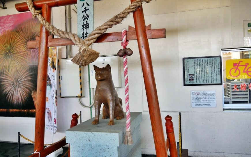 日本秋田｜秋田犬會館