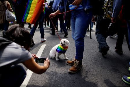 Participants of a Gay Pride Parade take photos of a dog wearing a rainbow flag during a march in Mexico City, June 23, 2018. REUTERS/Alexandre Meneghini