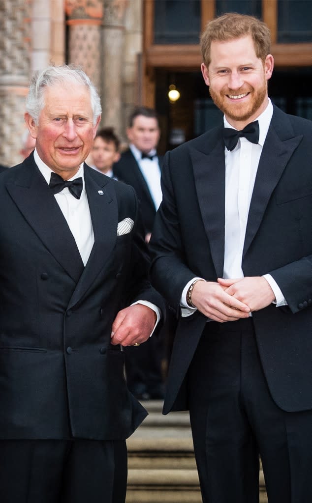 Prince Harry, Prince Charles