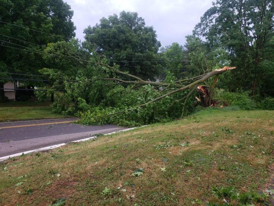 A downed tree blocks the road at Walnut Street Pike and Burks Drive in Bloomington on June 25, 2024.