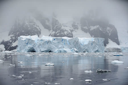 An iceberg floats in Andvord Bay, Antarctica, February 14, 2018. REUTERS/Alexandre Meneghini