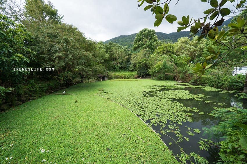 花蓮｜馬太鞍溼地生態園區