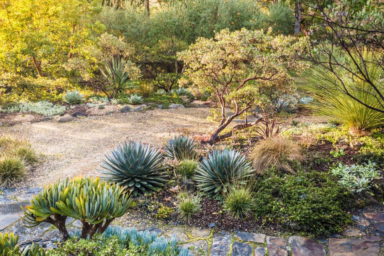 Xeriscaping garden