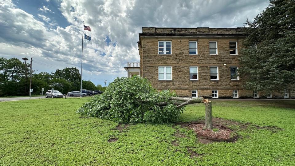 The Osage Nation reported that the historic "Million Dollar Elm" tree on the Osage Nation campus in Pawhuska was cut down on April 30.