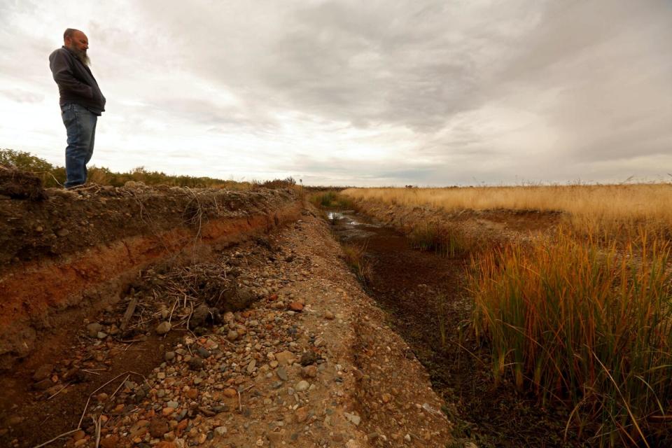 A man stands near a brush-choked creek.