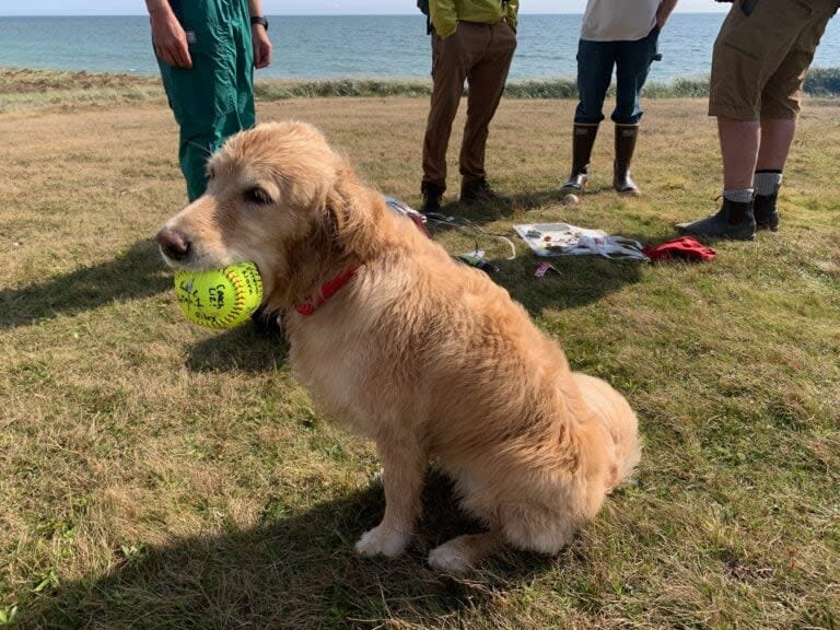 A baseball that was signed by Rhode Island students and sent adrift on a mini-boat was quickly snatched up by a local dog in Cape Breton after the wreckage of the vessel was found in Richmond County over the weekend. 