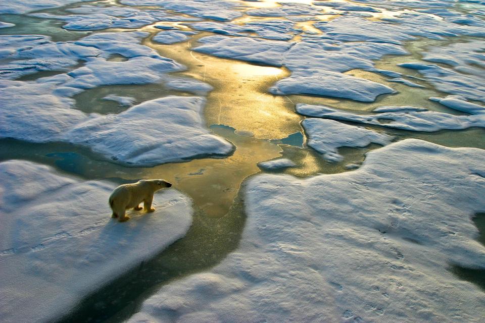 'Warming asymmetry has potentially significant implications for the natural world,' researcher warns (Getty Images)