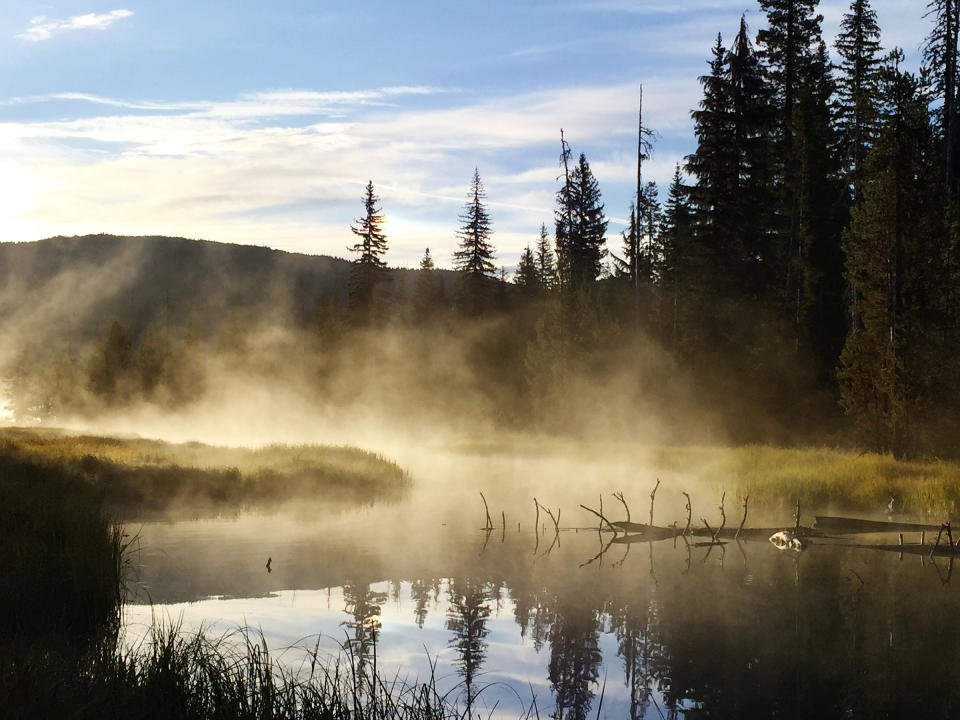 Reflections in the misty headwaters of the Deschutes River at Little Lava Lake in Central Oregon