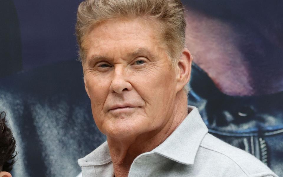 David Hasselhoff