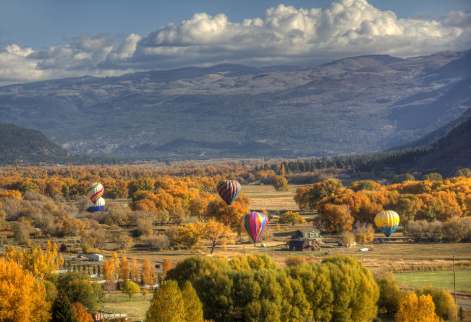 Hot air balloons over fall foliage in Durango, CO.