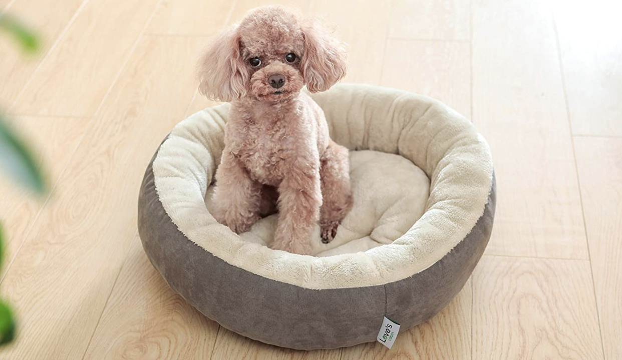 Does this come in human sizes? (Photo: Amazon)