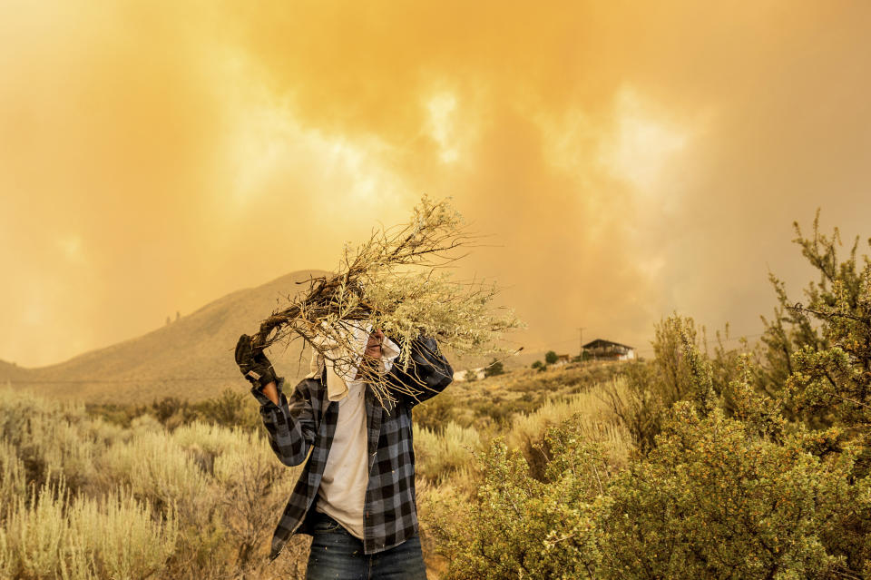 David Garfield clears a fire break around his home as the Sugar Fire, part of the Beckwourth Complex Fire, burns towards Doyle, Calif., on Saturday, July 10, 2021. (AP Photo/Noah Berger)