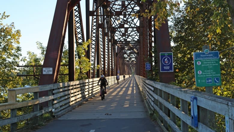 Fredericton shoots down idea of 2nd walking bridge after price tag hits $45M