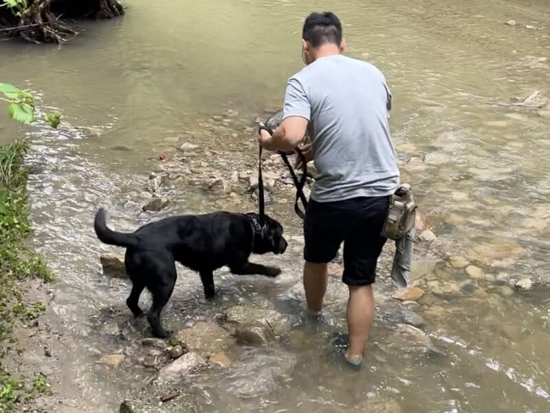 警犬嗅覺靈敏  水下都聞得到 台灣第一隻電子產品偵測犬Wafer（圖）與警政署保 三總隊的領犬員在美國訓練，藏在水底下的電子產品 都能聞得到。 （駐洛杉磯辦事處/警政署提供） 中央社記者林宏翰傳真  112年8月31日