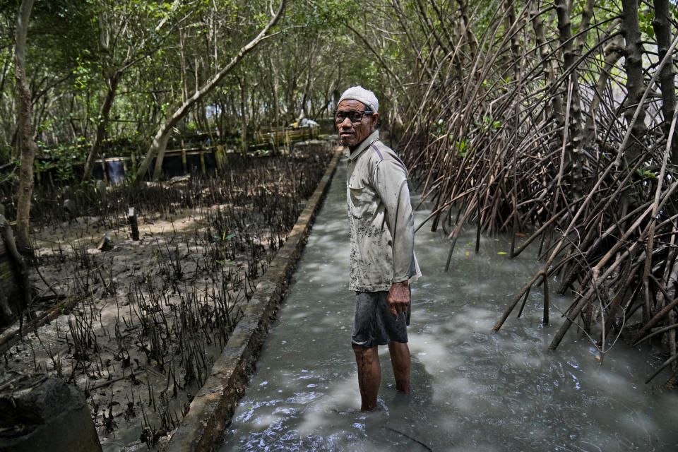 Basiran, one of few residents of Mondoliko village who stays behind after most of his neighbors left due to the rising sea level that inundate their neighborhood on the northern coast of Java Island, walks on a completely submerged village pathway, in Mondoliko, Central Java, Indonesia, Monday, Nov. 8, 2021. World leaders are gathered in Scotland at a United Nations climate summit, known as COP26, to push nations to ratchet up their efforts to curb climate change. Experts say the amount of energy unleashed by planetary warming would melt much of the planet's ice, raise global sea levels and greatly increase the likelihood and extreme weather events. (AP Photo/Dita Alangkara)