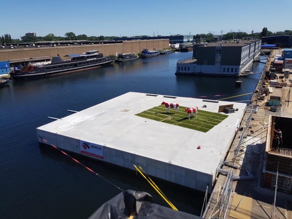 floating dairy farm