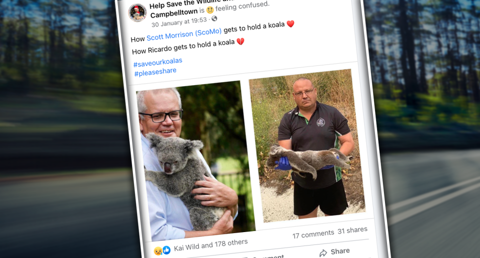 A Facebook image contrasting Mr Lonza holding a dead koala with the Prime Minister cuddling a live one.