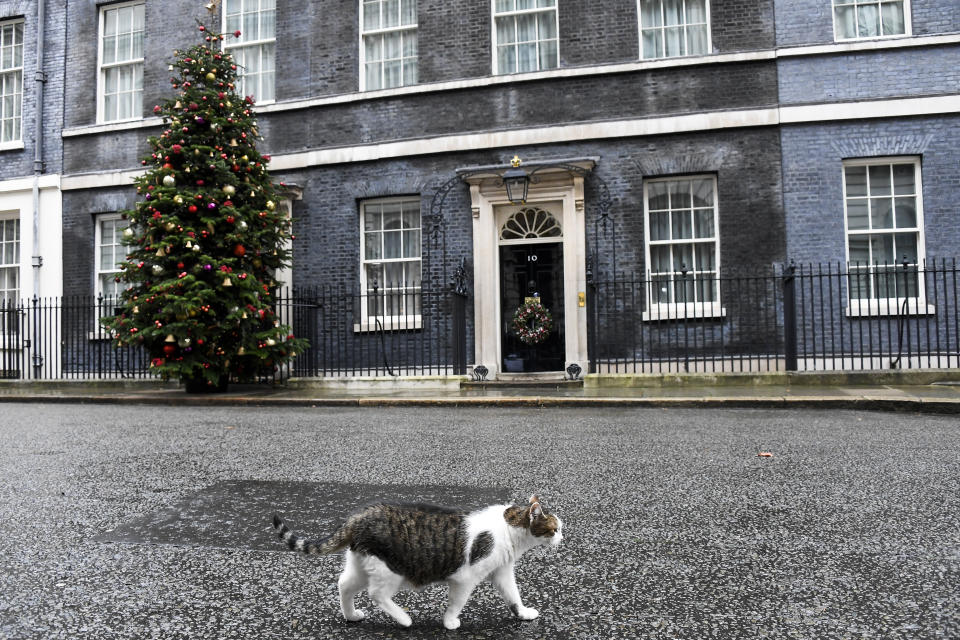 Larry, official number 10 pest controller walks outside 10 Downing Street, in London, Sunday, Dec. 13, 2020. Facing yet another self-imposed Brexit deadline on Sunday, the chief negotiators from the European Union and United Kingdom were making last-ditch efforts to scale differences on a trade deal that have proved insurmountable for the best part of the year. (AP Photo/Alberto Pezzali)