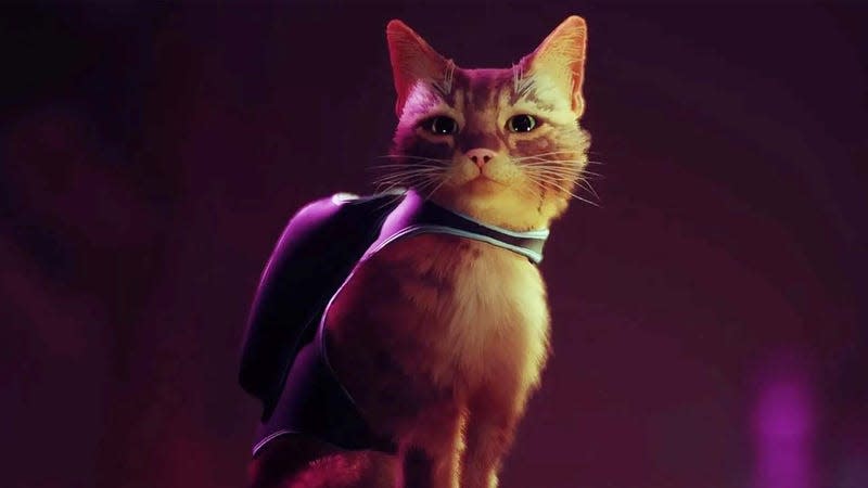 A screenshot shows the cat from Stray. 