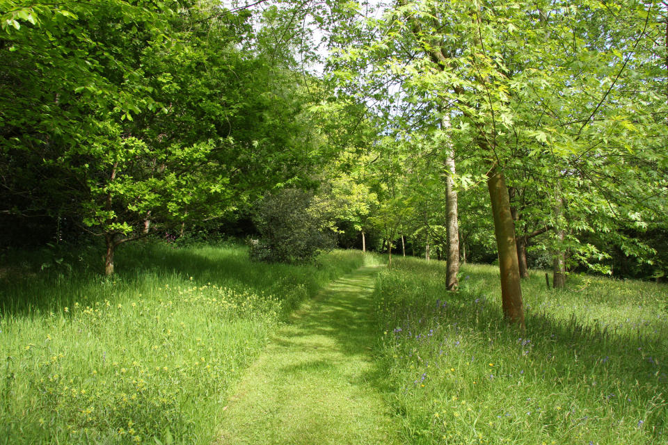 <p> Your garden paths don't have to be paved, or even hard, underfoot. And, often the most enchanting are those that appear to be completely spontaneous. </p> <p> What could be more charming than a mown path through a wildflower meadow? Quick and easy to do, you can make the route as twisty or direct as you like. Be kind to your lawn mower by creating your path while the grass is low and repeating fortnightly. </p> <p> Alternatively, you may want to strim long grass first before mowing neatly. Just check the route is free of wildlife before you start. </p>