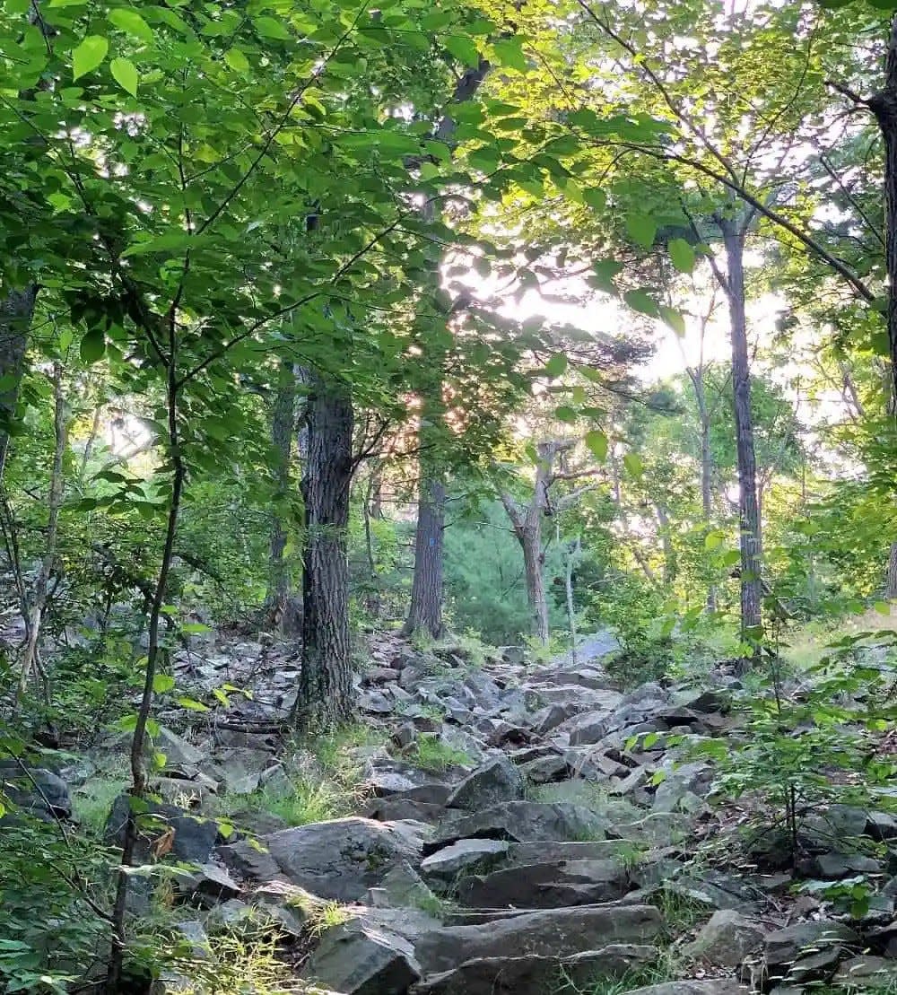 Rocky trails are just some of the many ways people can traverse the hundreds of acres of the Blue Hills Reservation.