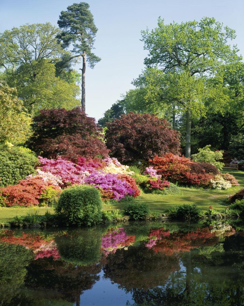 Exbury Gardens, England