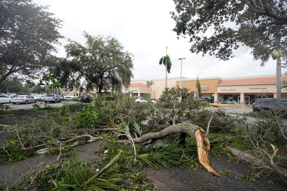 <p>Tree limbs and palm fronds are scattered on the ground in the parking lot of a Cooper City, Florida, shopping center on Sept. 28.</p>