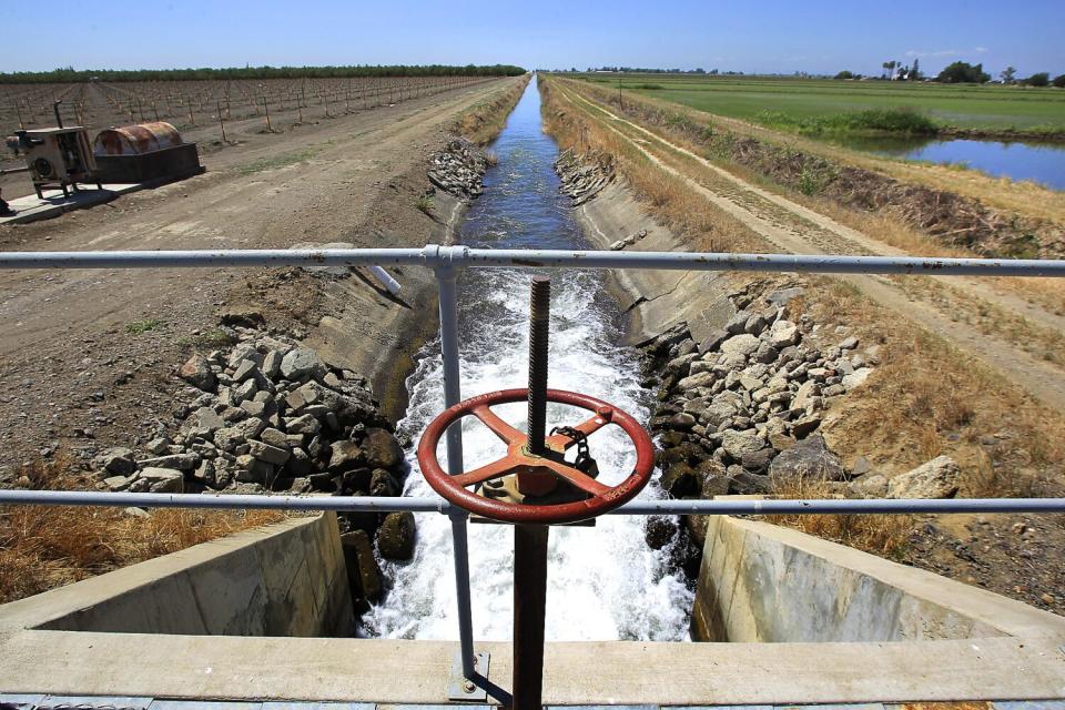 Water courses down a canal amid growing fields.