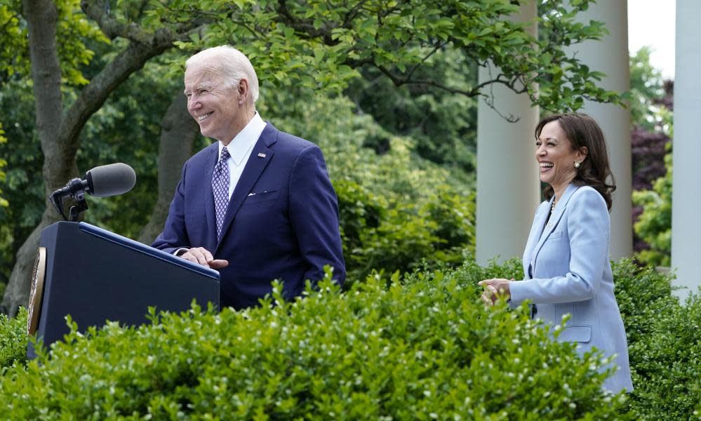 <span>Photograph: Susan Walsh/AP</span>