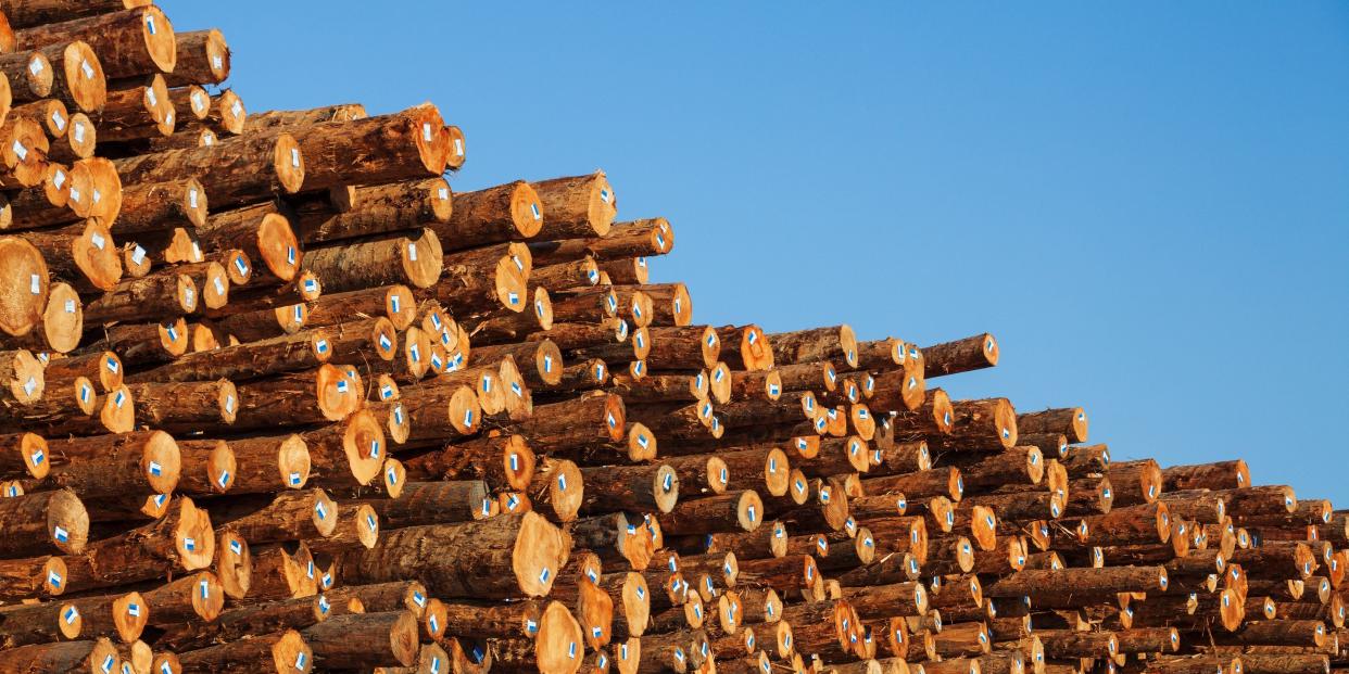 stacks of lumber under a blue sky