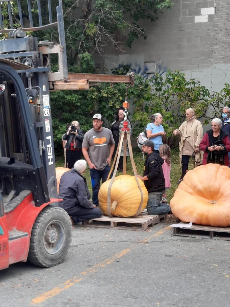 Every year, farmers have a giant pumpkin weight-off to see who can grow the biggest, heaviest vegetable.