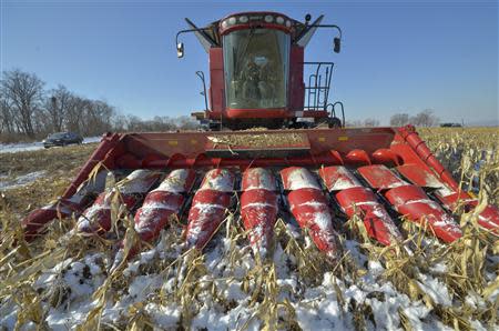 Employees operate harvesting machinery on the "Armada" farming project run by Dongning Huaxin Group near the far eastern Russian town of Ussuriysk November 13, 2013. REUTERS/Yuri Maltsev