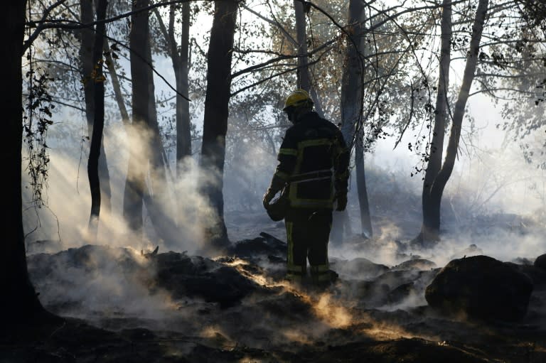 Almost 1,000 people wre evacuated in Corsica overnight but on Saturday firefighters managed to contain the blaze