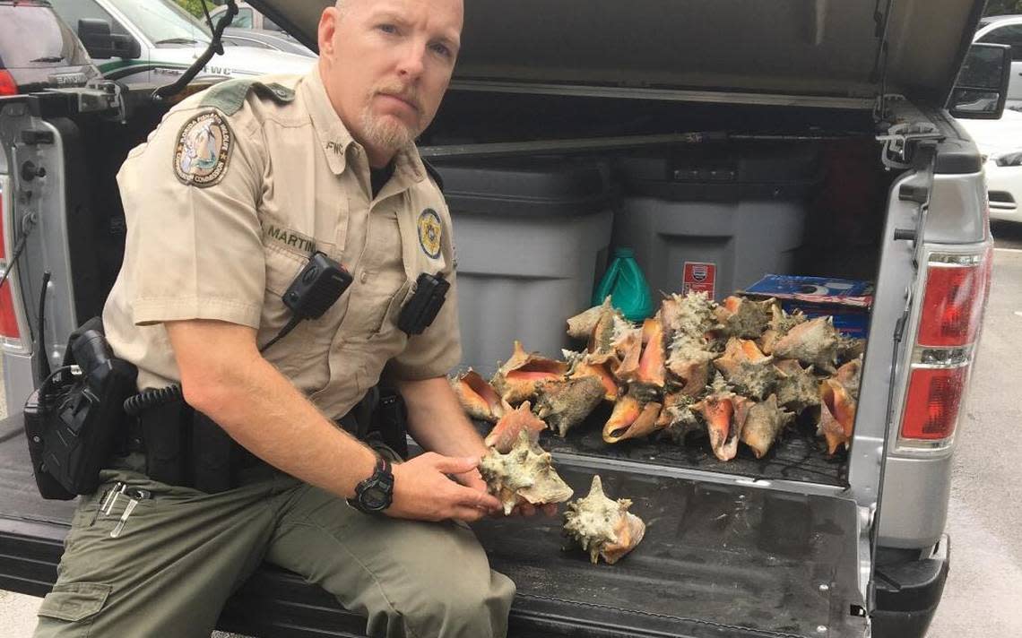 Florida Fish and Wildlife Conservation Commission Officer John Martino holds 40 queen conchs seized from a woman in Key West charged with illegally harvesting them in July 2017.