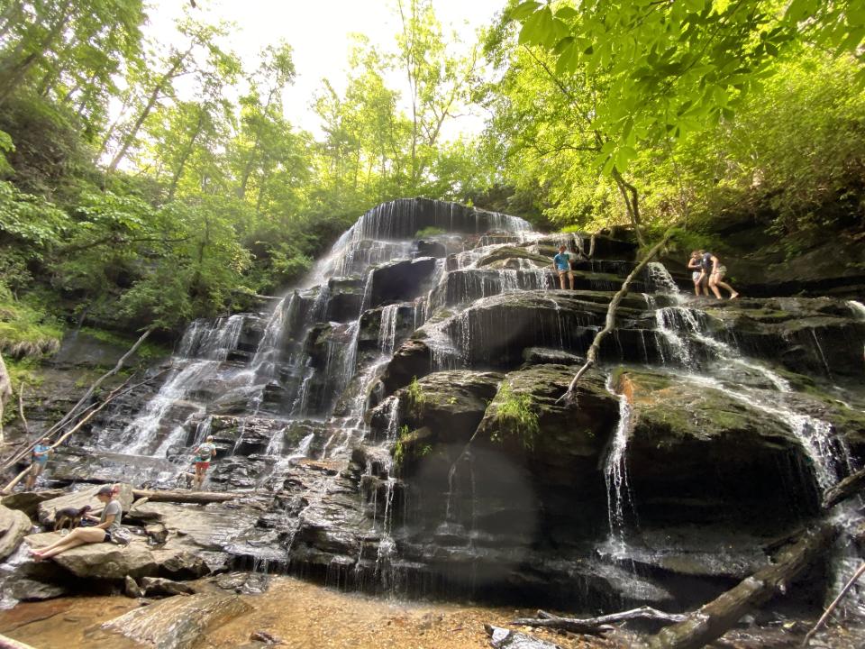 Yellow Branch Falls is a 50-foot vertical cascade that flows over a series of ledges. Many people use the falls as place to cool down and swim on a hot day.