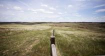 A view of reclaimed land that is being utilized for cattle grazing is seen in the left of the frame, and a view of untouched land is seen in the right of the frame during a tour of Peabody Energy's North Antelope Rochelle coal mine near Gillette, Wyoming, U.S. June 1, 2016. REUTERS/Kristina Barker