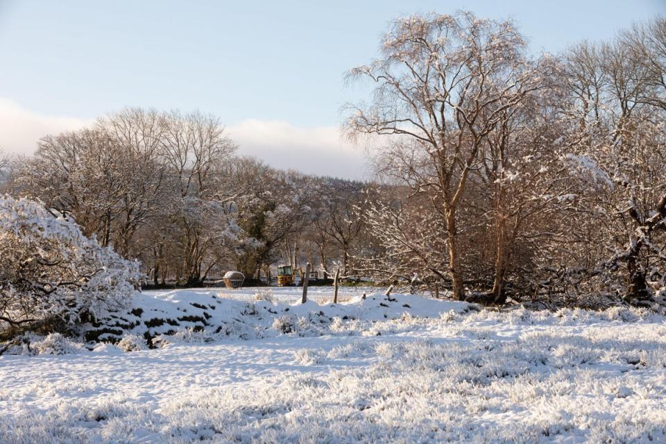 Residents awake to snowy landscapes this morning, after overnight snowfall in the rural village of Pontrhydfendigaid in mid Wales (Alamy Live News.)