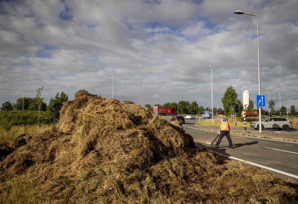 A man clears debris on a slip road of the A12 highway near Bunnik (ANP/AFP via Getty Images)