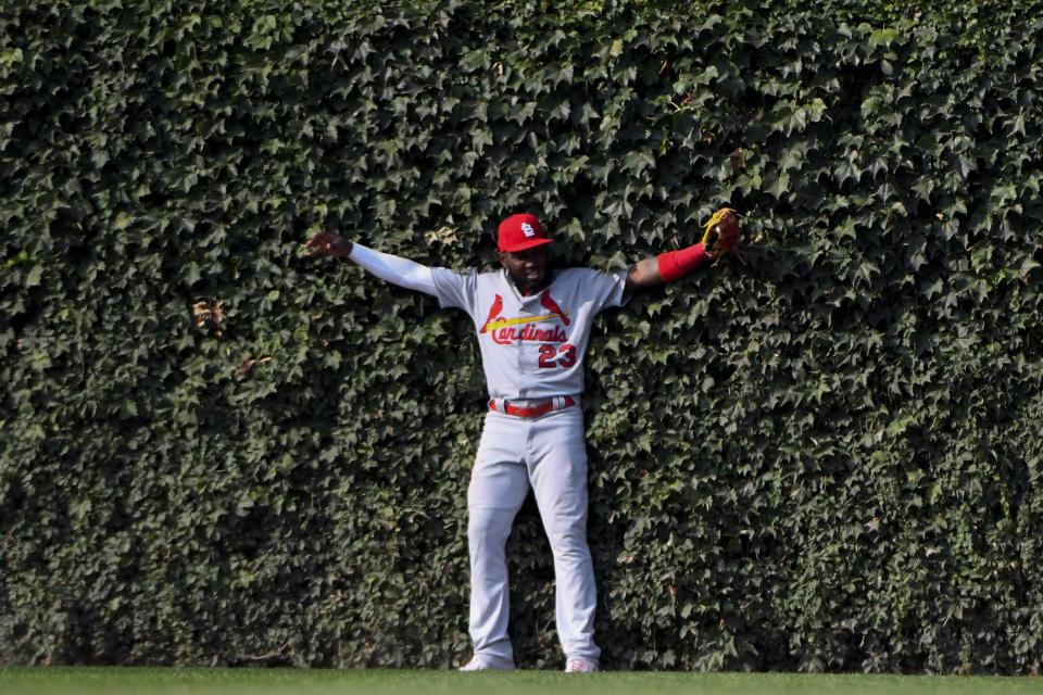 St. Louis Cardinals left fielder Marcell Ozuna (23) leans into the ivy after catching a fly ball hit by Chicago Cubs' Kris Bryant to end the seventh inning of a baseball game Friday, Sept. 20, 2019, in Chicago. (AP Photo/Matt Marton)