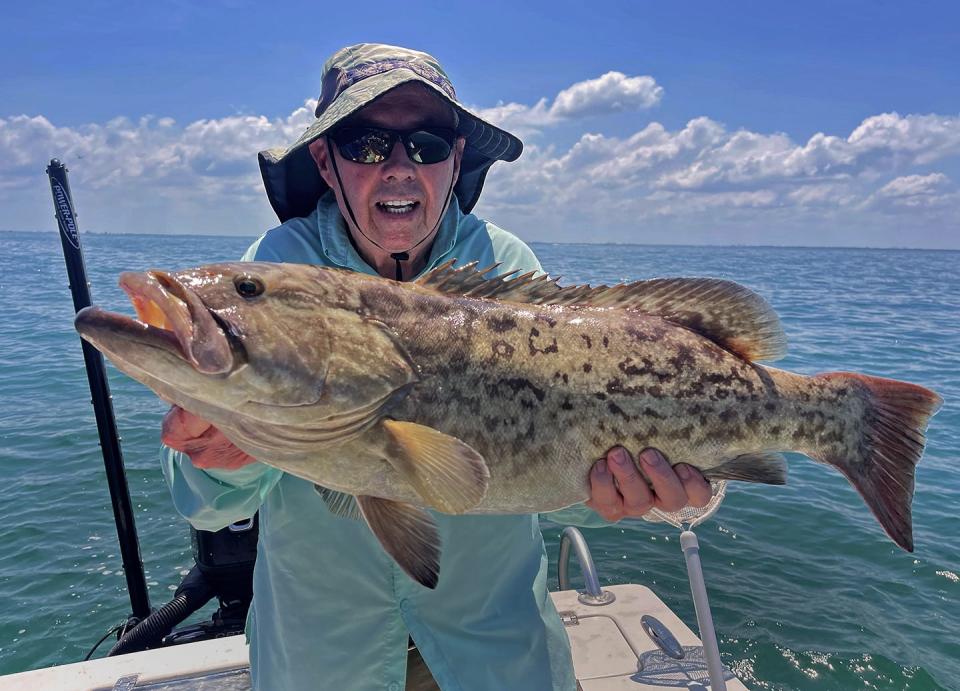 Bob Carson of Lakeland caught this 33-inch gag grouper while trolling in lower Tampa Bay with Capt. Capt. John Gunter this week.