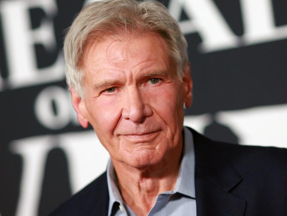 Harrison Ford (MediaPunch/Shutterstock)
