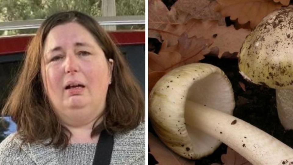 Supplied  Erin Patterson claimed to police mushrooms were bought from local shop