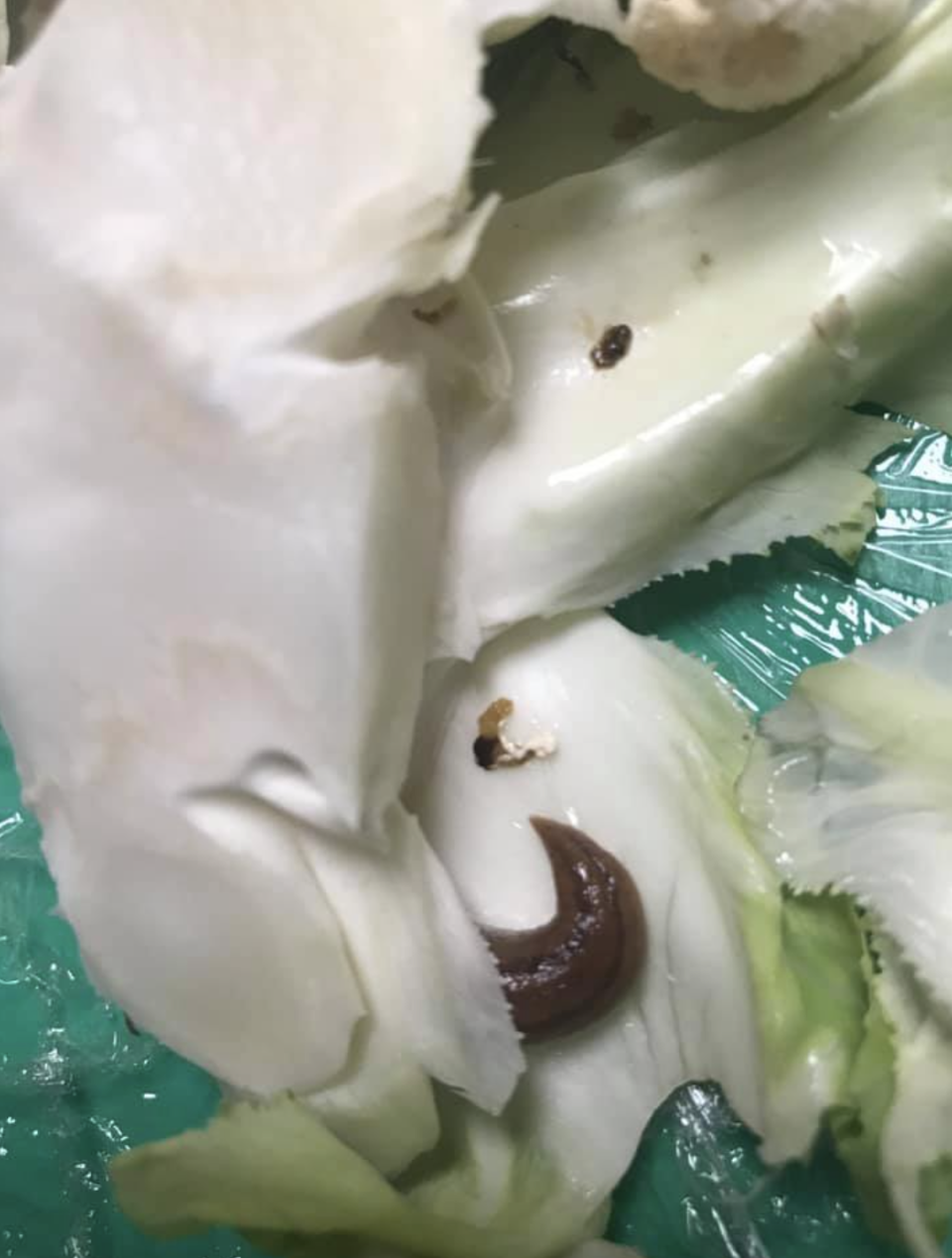 The shopper found a slug and a trail of poo through his cauliflower. Source: Getty Images