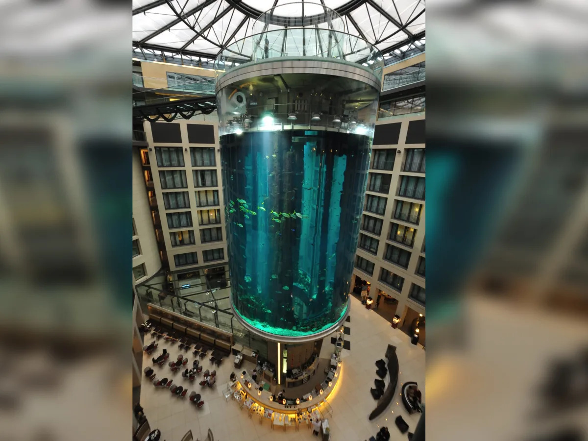 An enormous fish tank in a Berlin hotel lobby burst, spilling 250,000 gallons of..