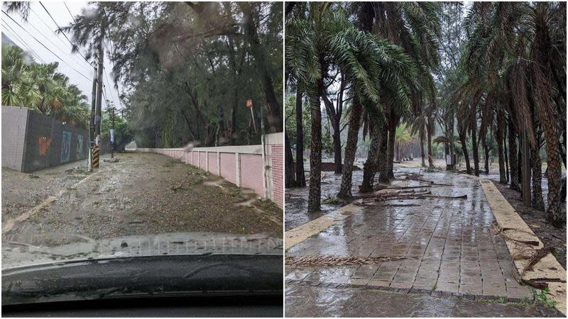 目前活動主場域路面及道路殘枝落葉數量多，部分樹木有倒坍情形發生，雲林縣府宣布音樂祭順延一週。（雲林縣府提供）